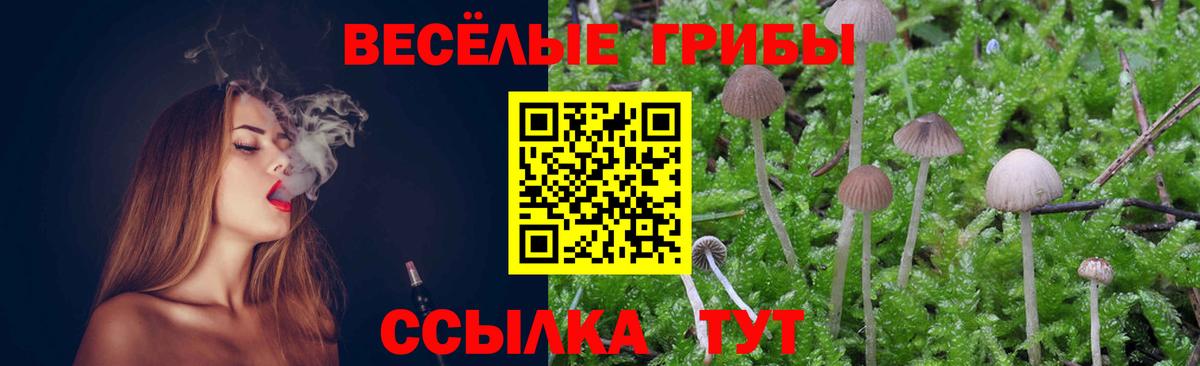 Сергиев Посад  Псилоцибиновые грибы мухоморы  Вход с VPN 